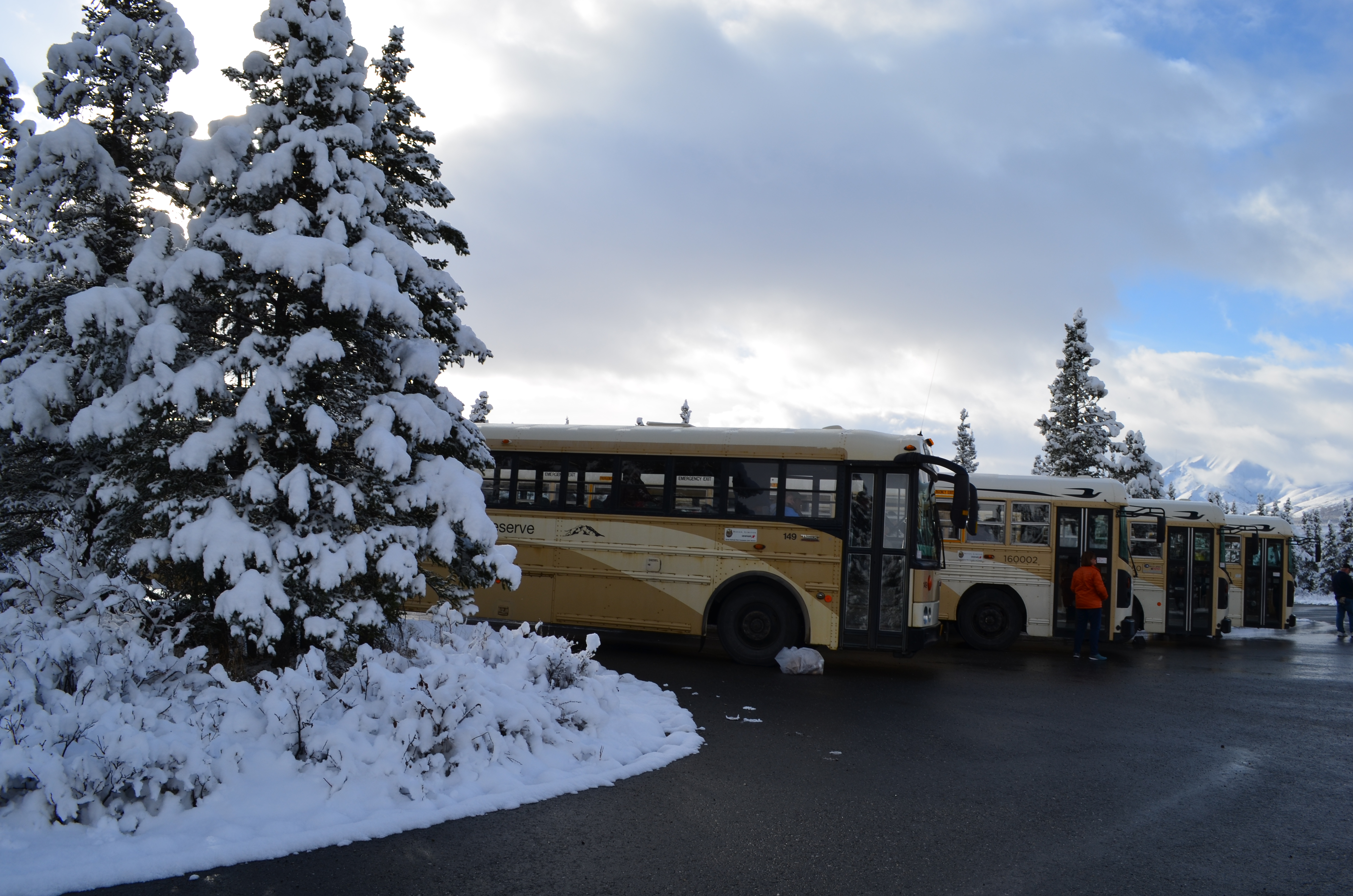 ./2017/08 - Alaska Cruise/03 - Denali/DSC_0251.JPG